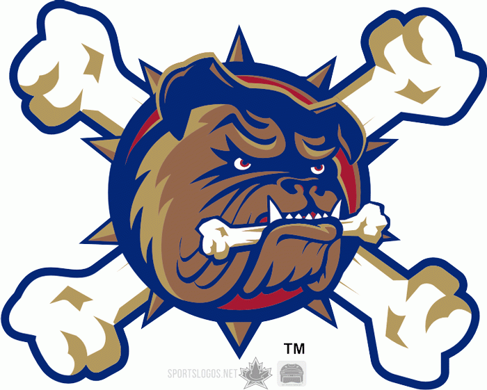 Hamilton Bulldogs 2005 06 Anniversary Logo iron on transfers for T-shirts